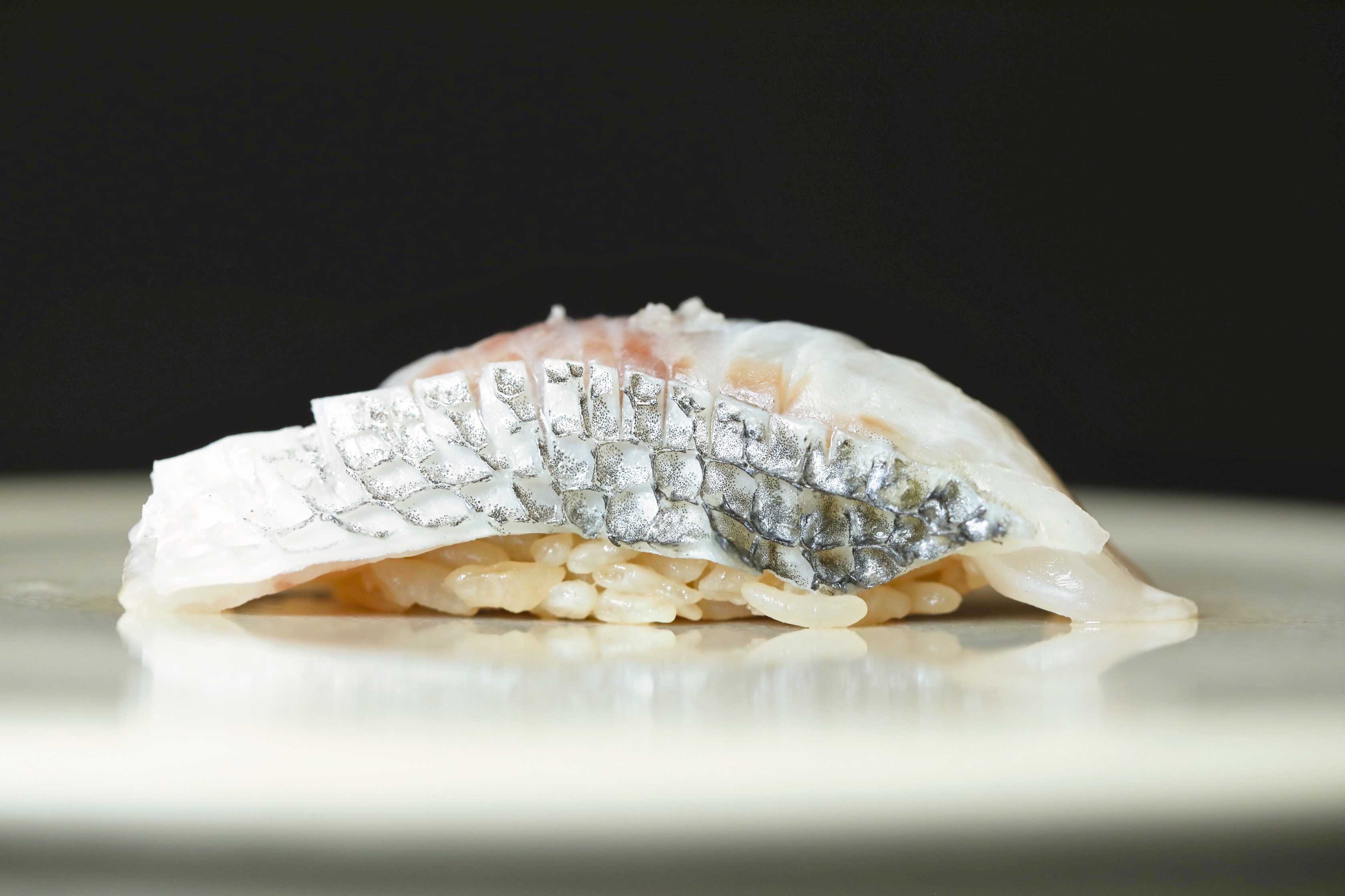 타쿠미곤 디쉬 6